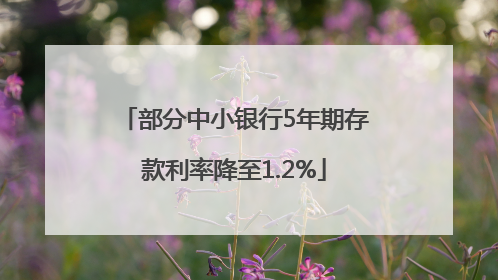 部分中小银行5年期存款利率降至1.2%