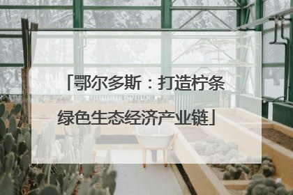 鄂尔多斯：打造柠条绿色生态经济产业链