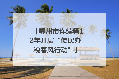 鄂州市连续第12年开展“便民办税春风行动”