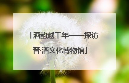 酒韵越千年——探访晋·酒文化博物馆