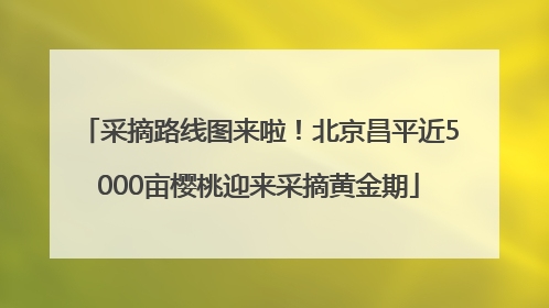 采摘路线图来啦！北京昌平近5000亩樱桃迎来采摘黄金期
