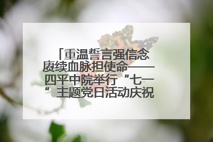 重温誓言强信念 赓续血脉担使命——四平中院举行“七一”主题党日活动庆祝建党104周年