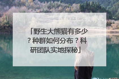 野生大熊猫有多少？种群如何分布？科研团队实地探秘
