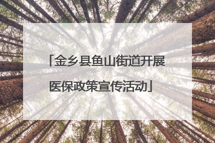 金乡县鱼山街道开展医保政策宣传活动