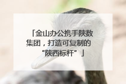 金山办公携手陕数集团，打造可复制的“陕西标杆”