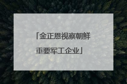 金正恩视察朝鲜重要军工企业