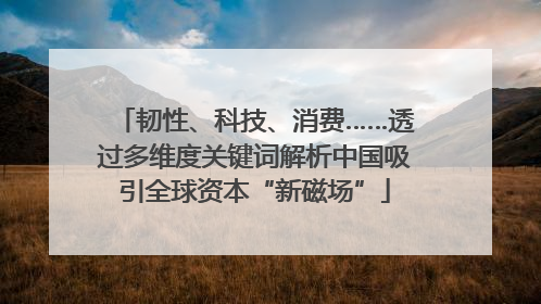 韧性、科技、消费……透过多维度关键词解析中国吸引全球资本“新磁场”