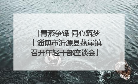 青燕争锋 同心筑梦丨淄博市沂源县燕崖镇召开年轻干部座谈会
