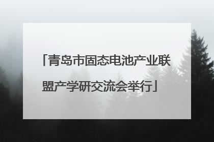 青岛市固态电池产业联盟产学研交流会举行