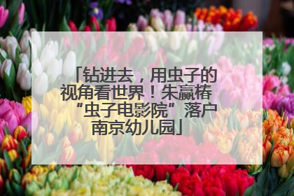 钻进去，用虫子的视角看世界！朱赢椿“虫子电影院”落户南京幼儿园