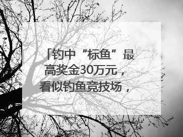 钓中“标鱼”最高奖金30万元，看似钓鱼竞技场，实则以高额“回报”作“饵”……｜今晚九点半