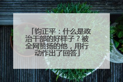 钧正平：什么是政治干部的好样子？被全网赞扬的他，用行动作出了回答