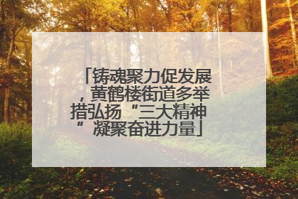 铸魂聚力促发展，黄鹤楼街道多举措弘扬“三大精神”凝聚奋进力量