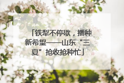 铁犁不停歇，播种新希望——山东“三夏”抢收抢种忙