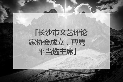 长沙市文艺评论家协会成立，曹隽平当选主席