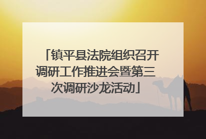 镇平县法院组织召开调研工作推进会暨第三次调研沙龙活动