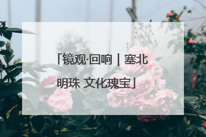 镜观·回响｜塞北明珠 文化瑰宝