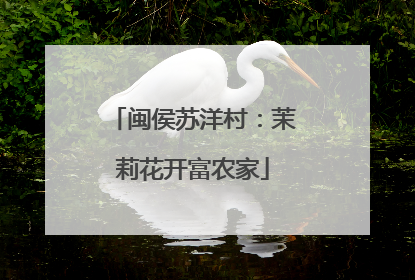 闽侯苏洋村：茉莉花开富农家
