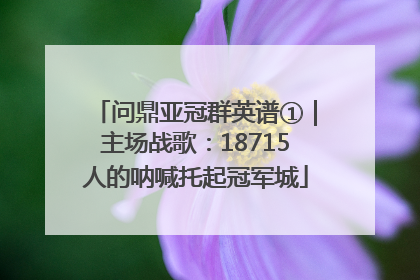 问鼎亚冠群英谱①｜主场战歌：18715人的呐喊托起冠军城