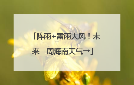 阵雨+雷雨大风！未来一周海南天气→
