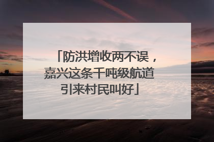 防洪增收两不误，嘉兴这条千吨级航道引来村民叫好