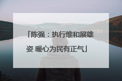 陈强：执行维和展雄姿 暖心为民有正气