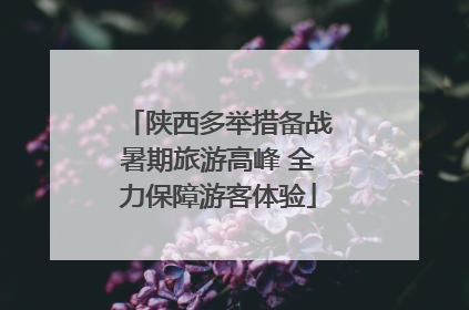 陕西多举措备战暑期旅游高峰 全力保障游客体验