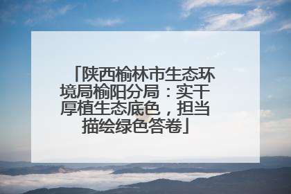 陕西榆林市生态环境局榆阳分局：实干厚植生态底色，担当描绘绿色答卷