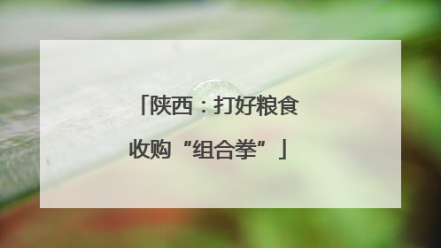 陕西：打好粮食收购“组合拳”