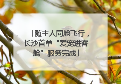 随主人同舱飞行，长沙首单“爱宠进客舱”服务完成