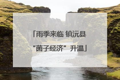雨季来临 镇沅县“菌子经济”升温