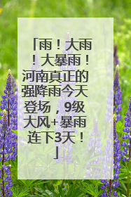 雨！大雨！大暴雨！河南真正的强降雨今天登场，9级大风+暴雨连下3天！