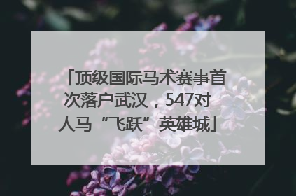 顶级国际马术赛事首次落户武汉，547对人马“飞跃”英雄城