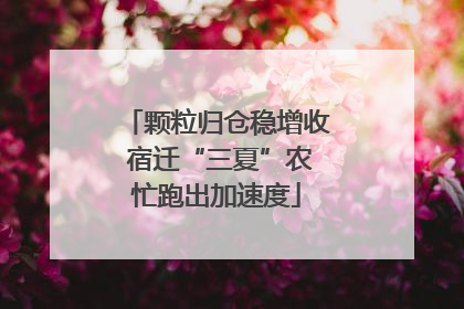 颗粒归仓稳增收 宿迁“三夏”农忙跑出加速度