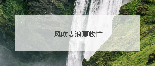 风吹麦浪夏收忙 河南老兵保粮仓