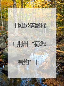 风起倩影摇！荆州“荷您有约”