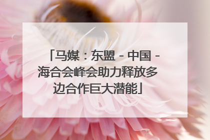 马媒：东盟－中国－海合会峰会助力释放多边合作巨大潜能