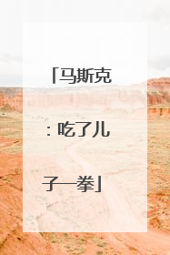 马斯克：吃了儿子一拳