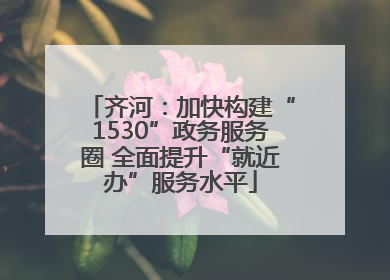 齐河：加快构建“1530”政务服务圈 全面提升“就近办”服务水平