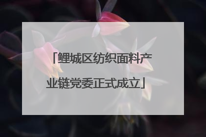 鲤城区纺织面料产业链党委正式成立