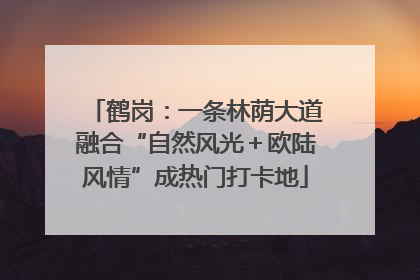 鹤岗：一条林荫大道融合“自然风光＋欧陆风情”成热门打卡地
