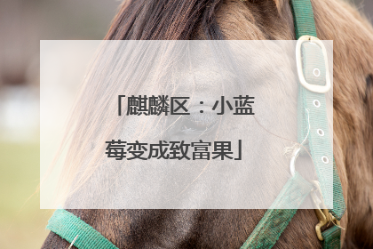 麒麟区：小蓝莓变成致富果