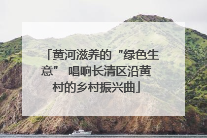 黄河滋养的“绿色生意” 唱响长清区沿黄村的乡村振兴曲