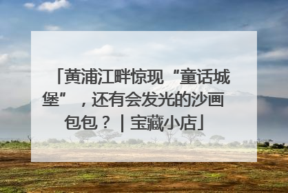 黄浦江畔惊现“童话城堡”，还有会发光的沙画包包？｜宝藏小店