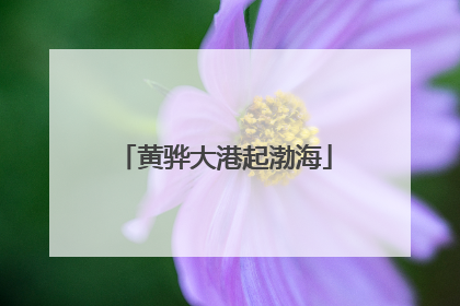 黄骅大港起渤海