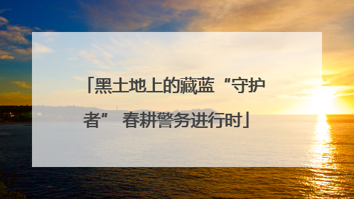 黑土地上的藏蓝“守护者” 春耕警务进行时