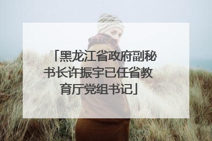 黑龙江省政府副秘书长许振宇已任省教育厅党组书记