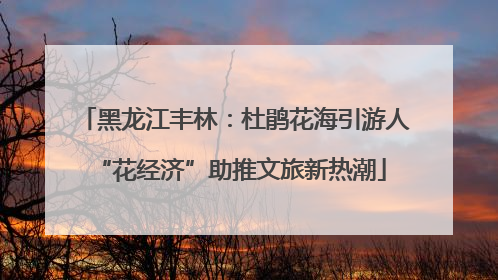 黑龙江丰林：杜鹃花海引游人 “花经济”助推文旅新热潮