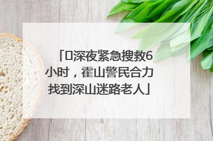 ﻿深夜紧急搜救6小时，霍山警民合力找到深山迷路老人