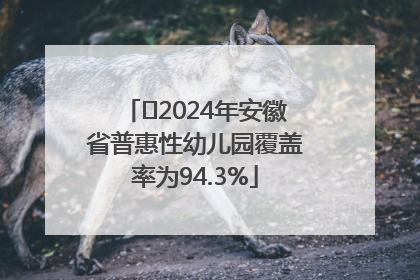 ﻿2024年安徽省普惠性幼儿园覆盖率为94.3%